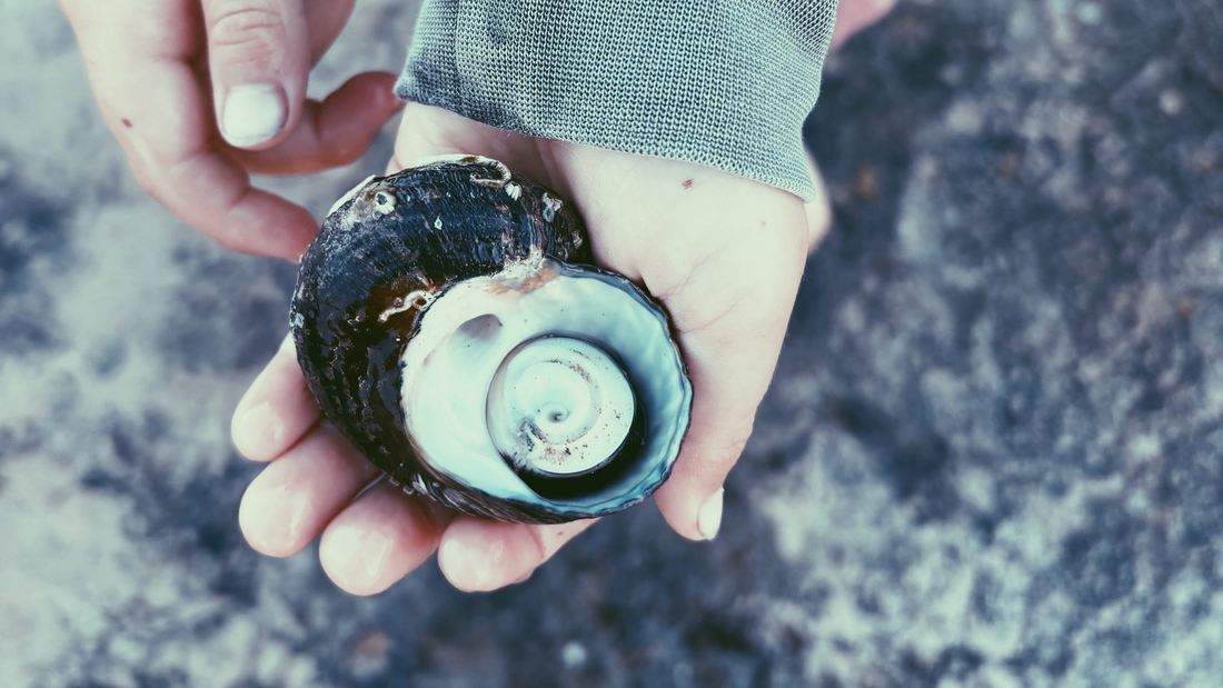 How to Create a Home That Holds You: Turning Meaning, Joy, and Connection into Something You Can Feel