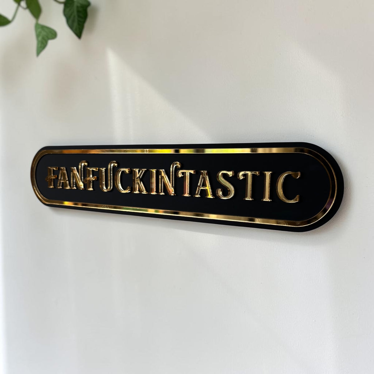 Fanfuckintastic Acrylic Wall Sign | Funny Statement Wall Decor